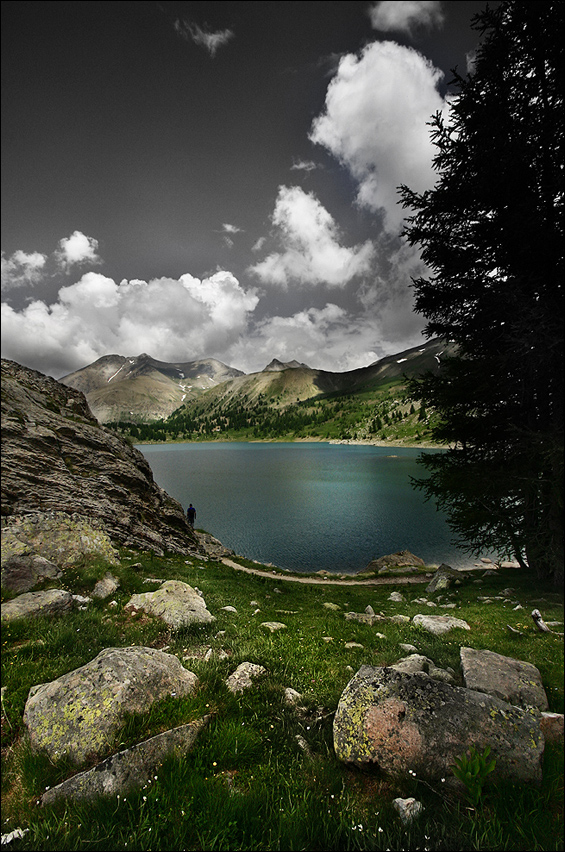 Vision d'une marmotte de Elise Bleue