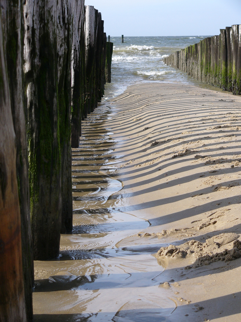 Bis an das Meer, bis in das Meer ....