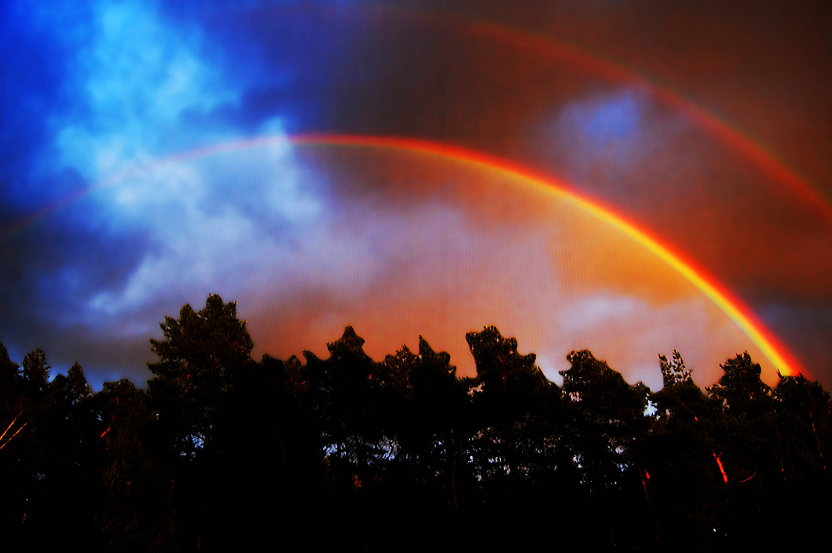 Bis ans Ende des Regenbogens