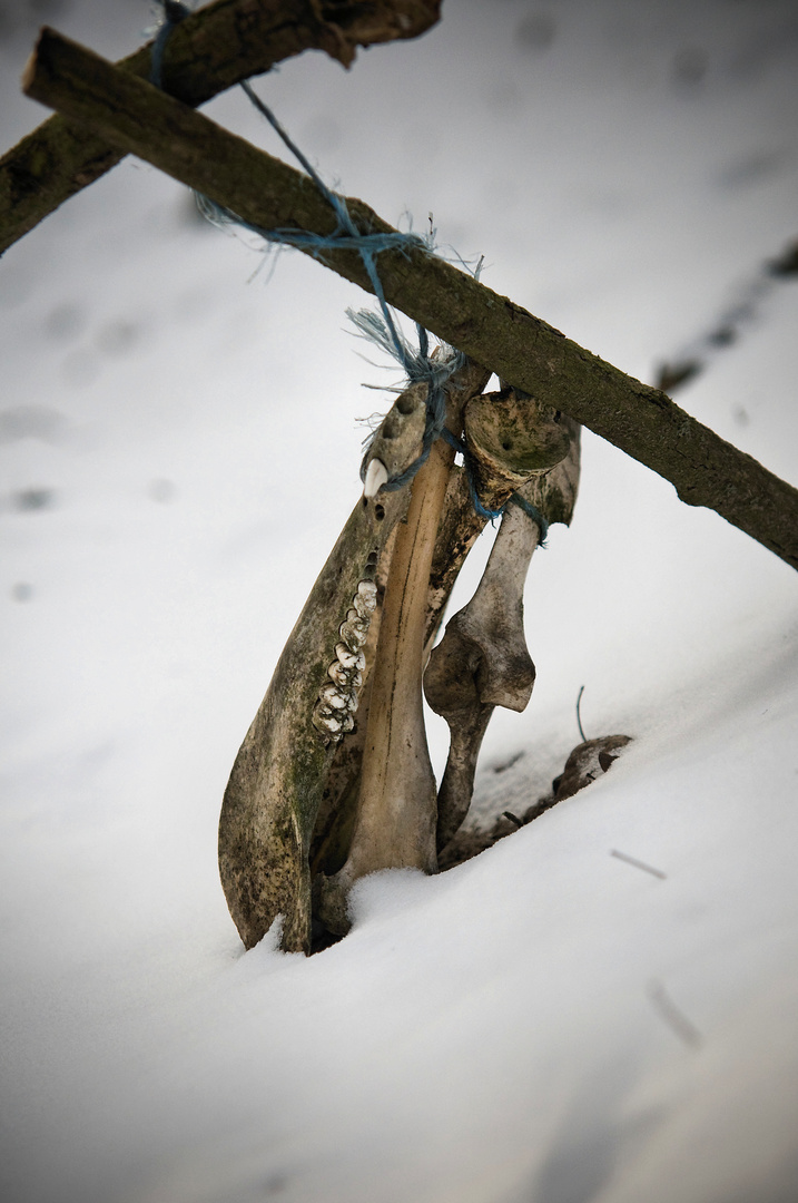 Bis auf die Knochen...