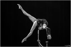 Bis auf die Zähne ....