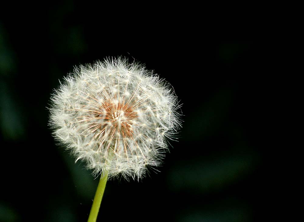 bis das der wind kommt.........