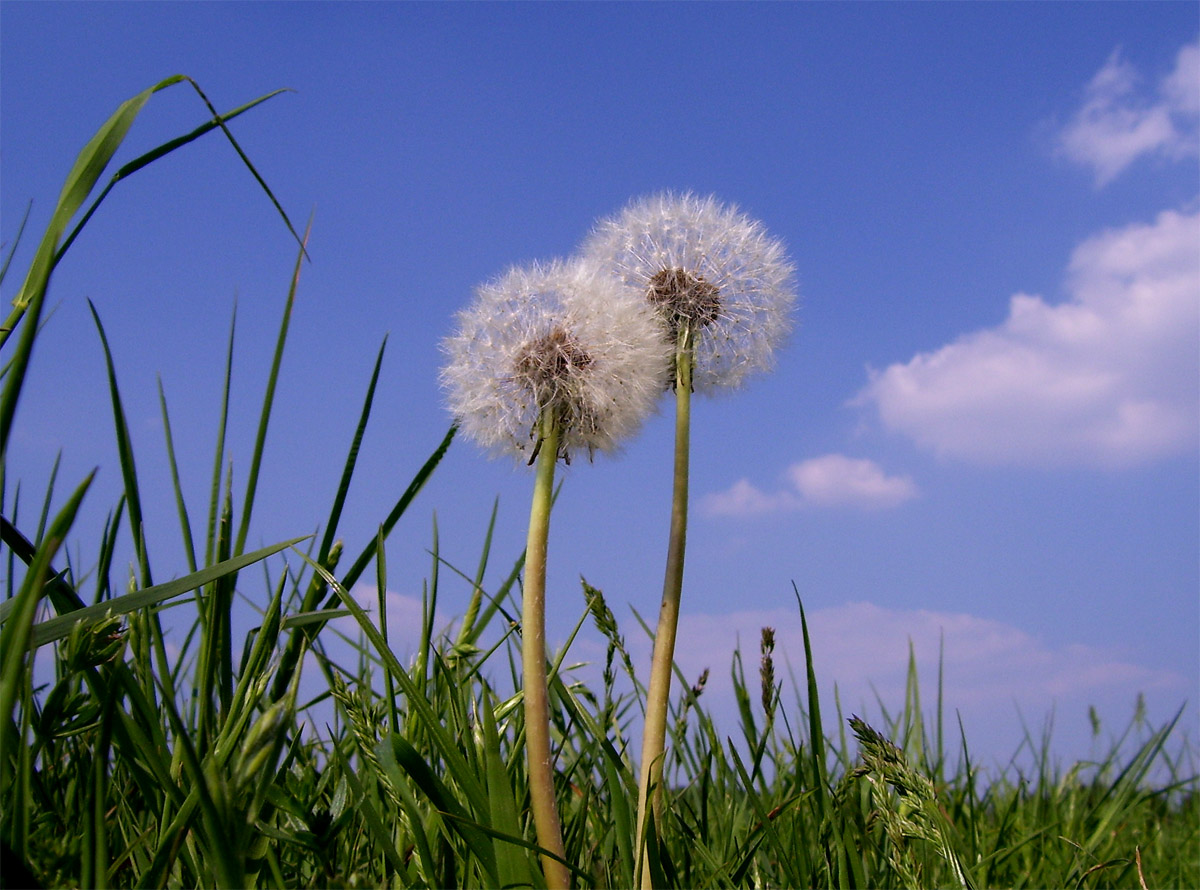 Bis dass der Wind uns scheidet...