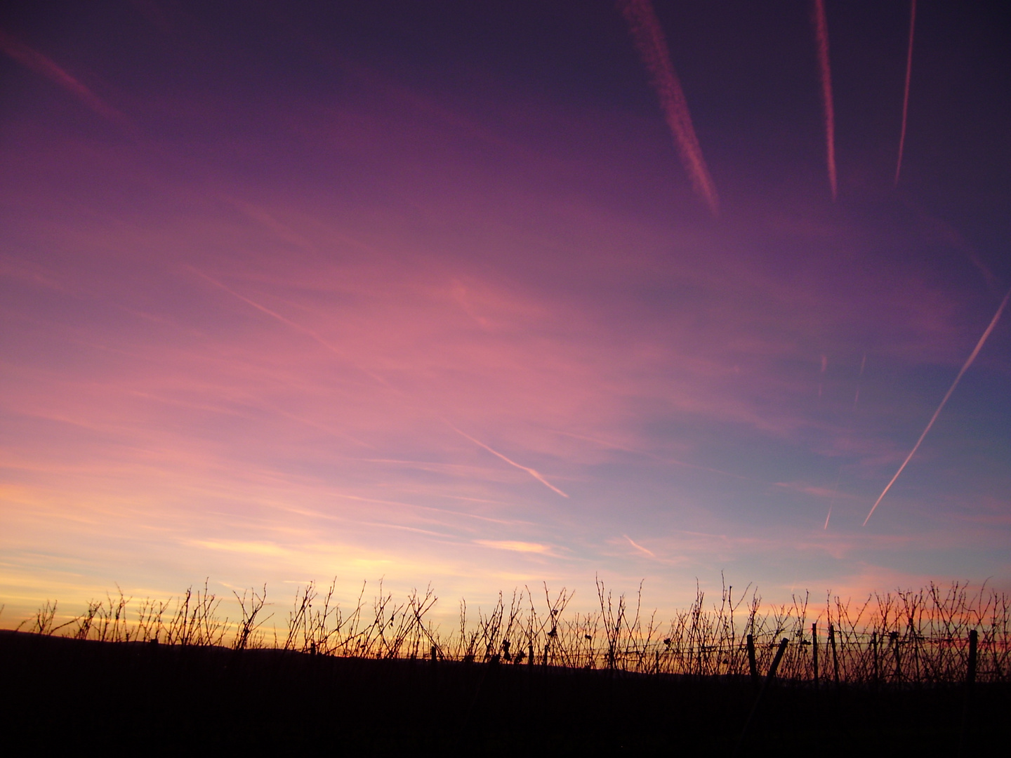 .. bis die Wolken lila sind