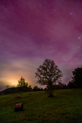 Bis die Wolken wieder lila sind...