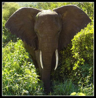 Bis hierher und nicht weiter!