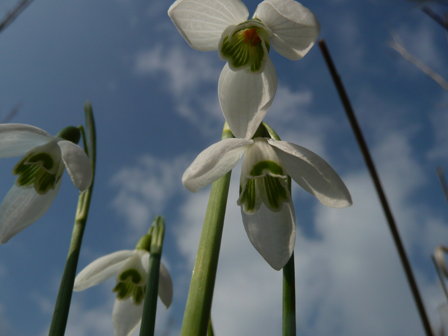 Bis in den Himmel