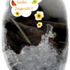 Bis in die Eiswelten....