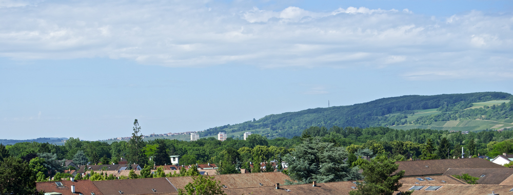 bis nach Oetlingen