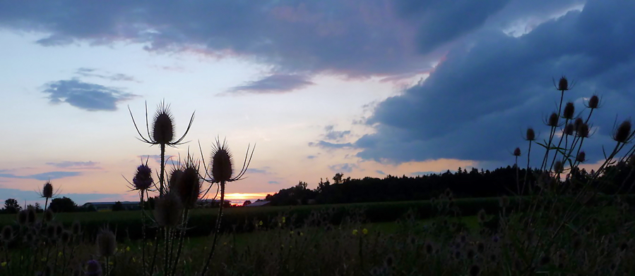 ~ bis sich das wetter entscheidet... ~