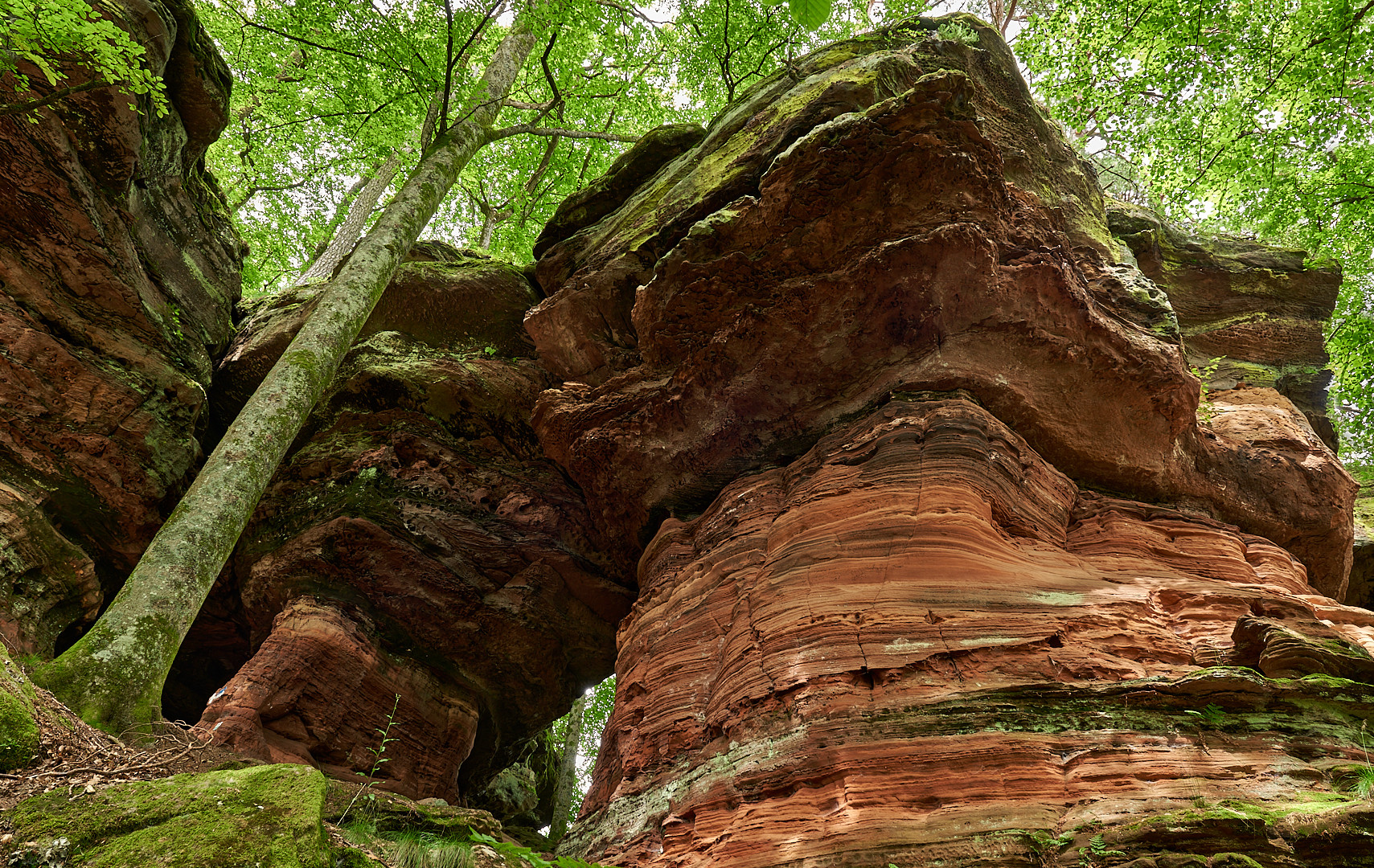 Bis zu 30 Meter hoch sind die Altschlossfelsen (aus dem Archiv)... 