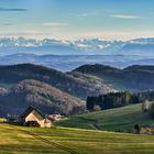 Bis zu den Alpen