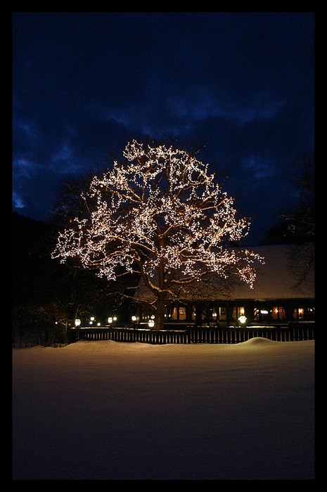 bis zu den Knien im Schnee...