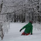 Bis zu den Knien im Schnee