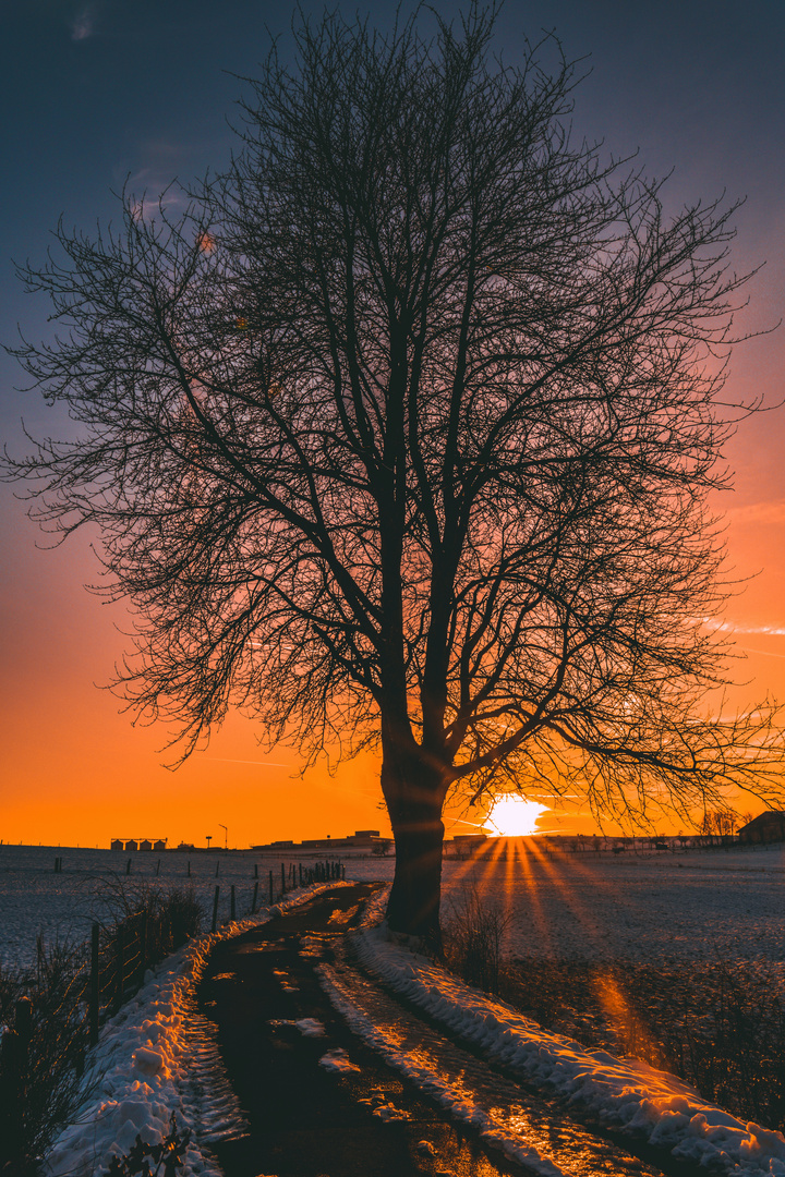 Bis zum Abendrot