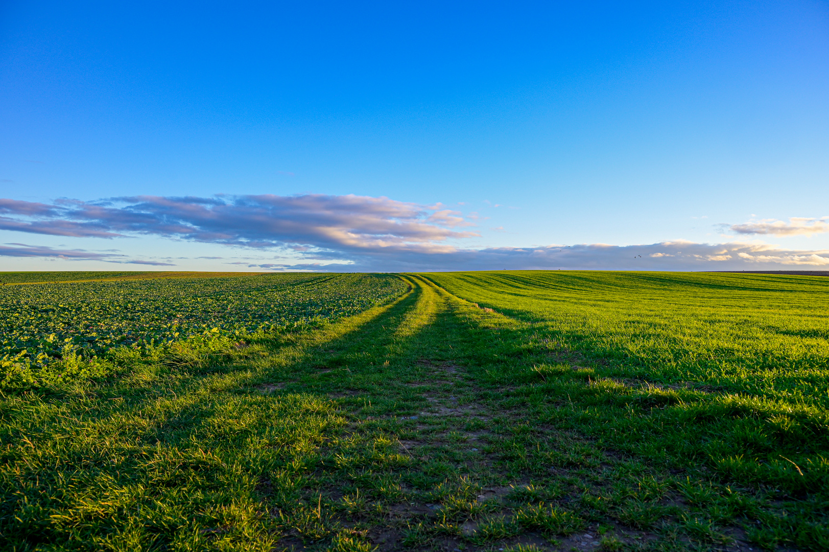 Bis zum Horizont