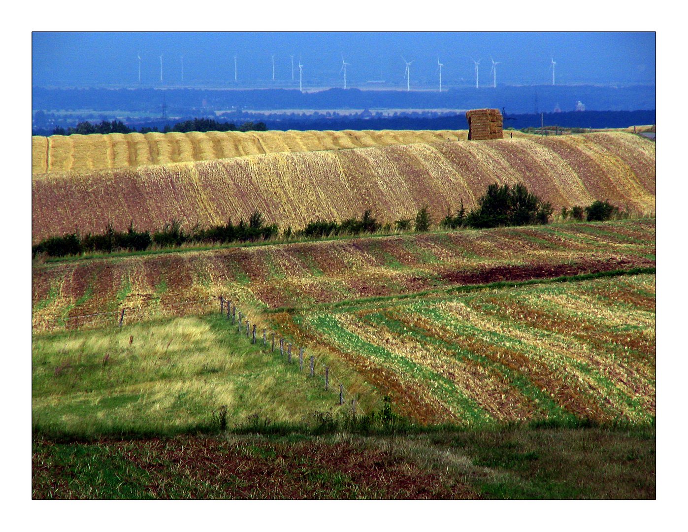 Bis zum Horizont