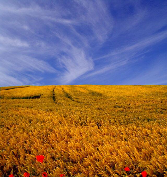 bis zum Horizont II