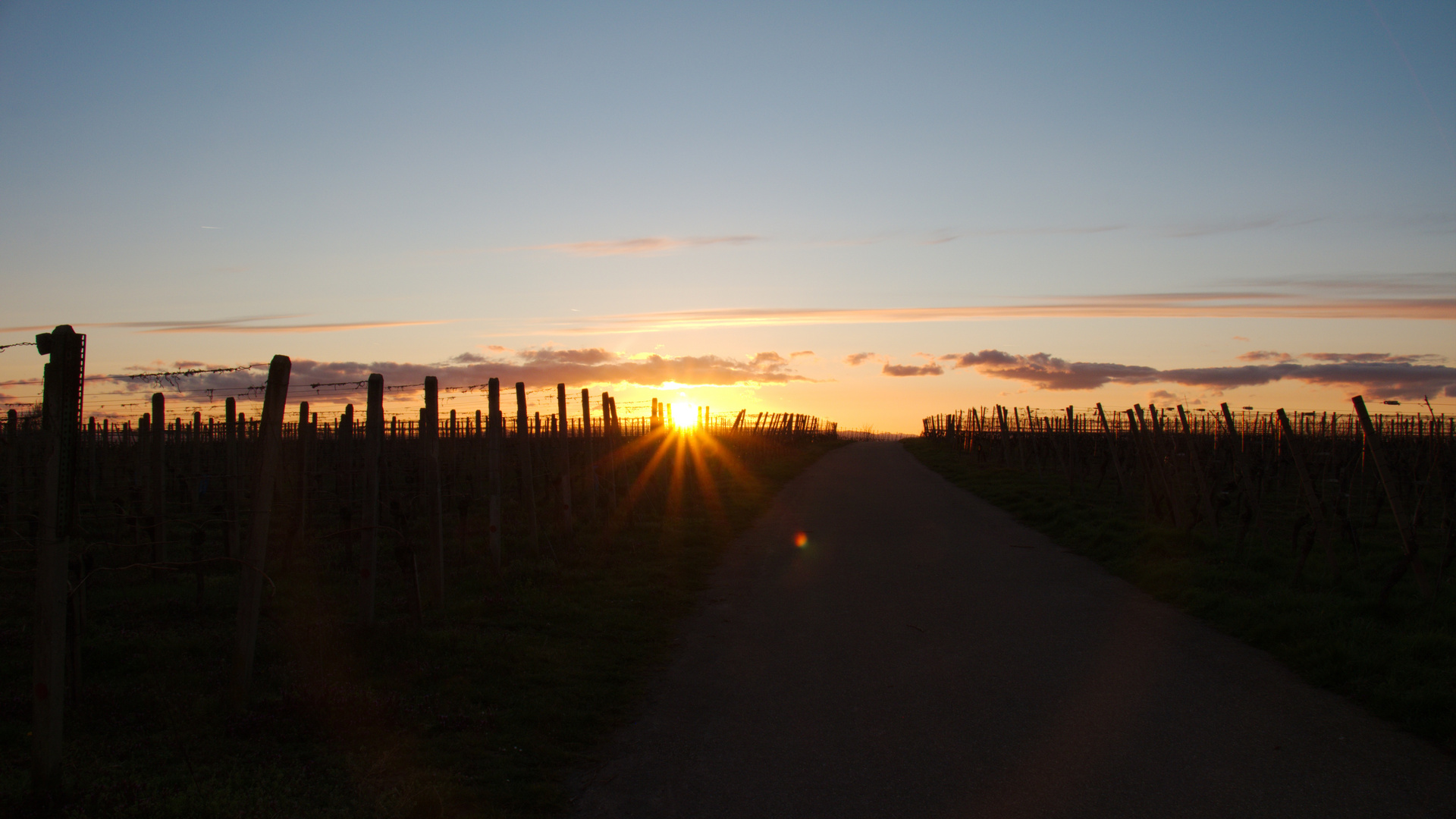 Bis zum letzten Sonnenstrahl