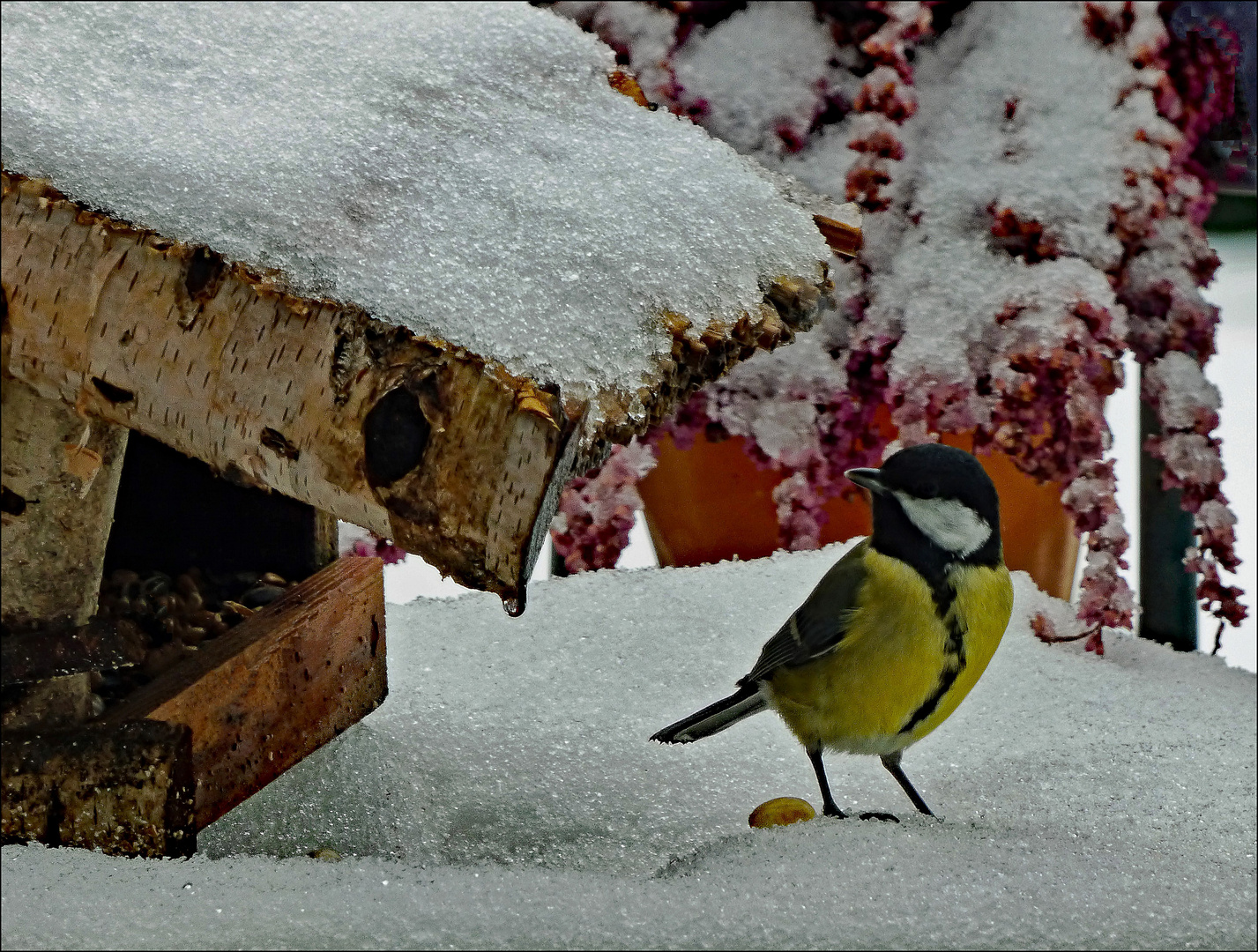 Bis zum Mittag lag noch Schnee ...