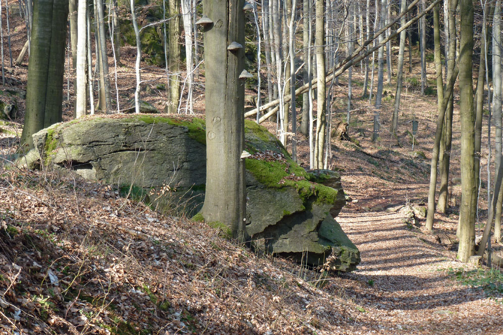 "bis zum Schweinel..."