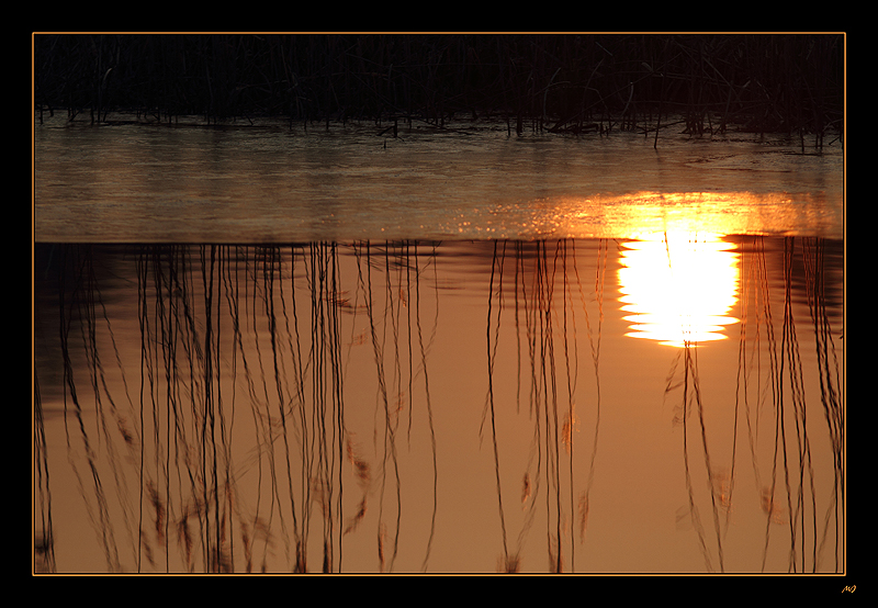 Bis zum Sonnenuntergang 6