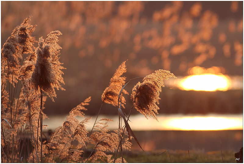 Bis zum Sonnenuntergang 7