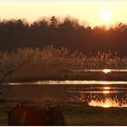 Bis zum Sonnenuntergang