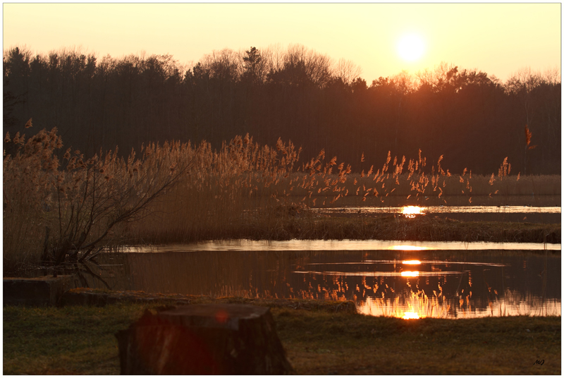 Bis zum Sonnenuntergang