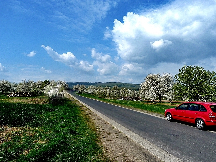 Bis zum Taunus . . . .