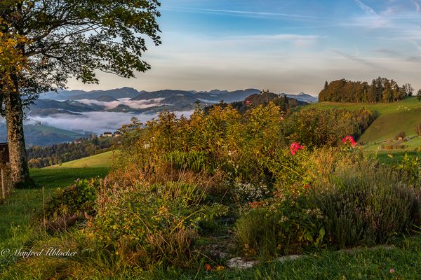 Bis zum Traunstein ...