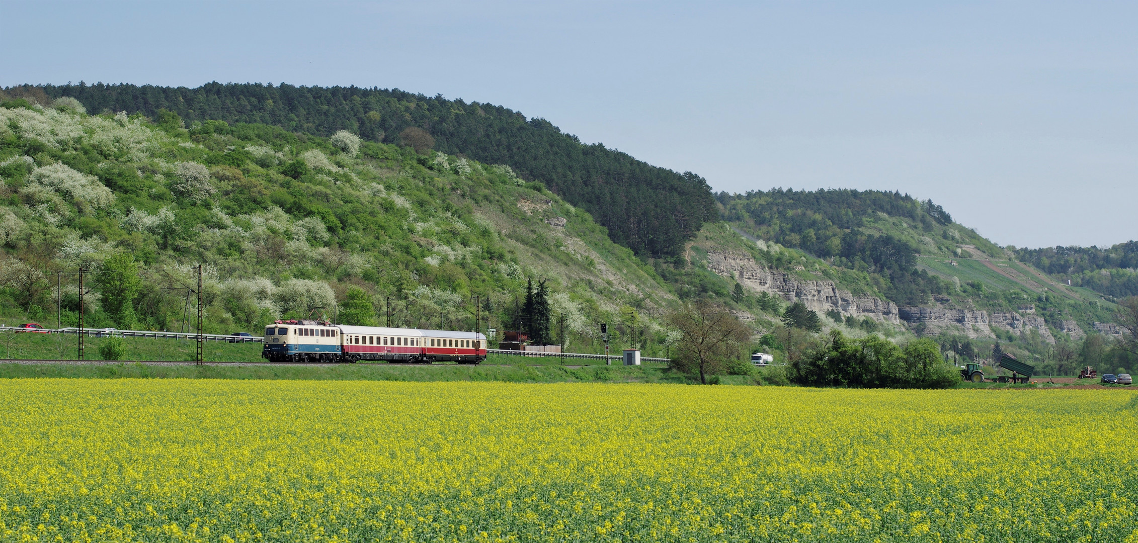 Bis zur Vollblüte ...