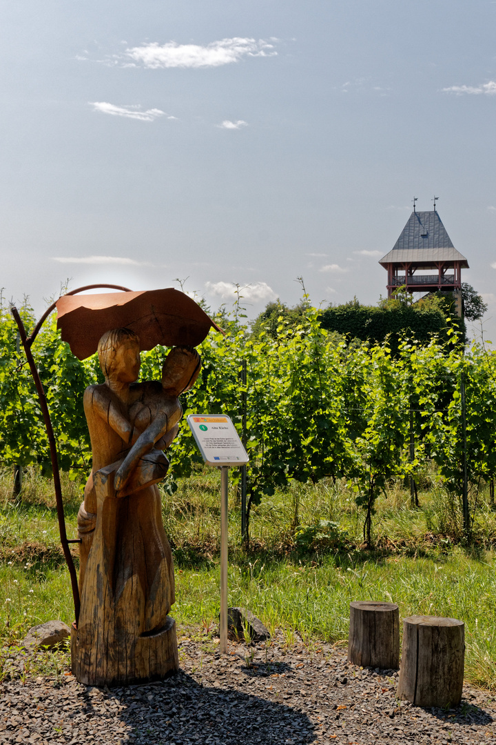 Bis zur Weinlese ist noch Zeit