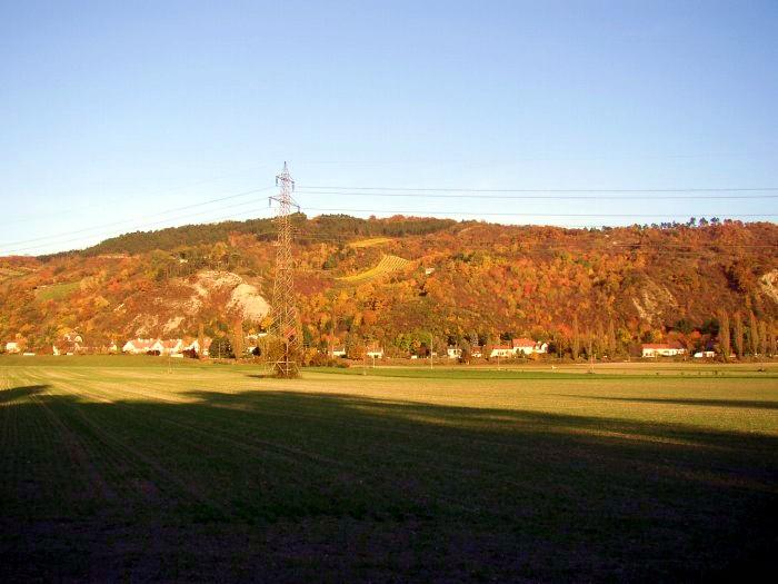 Bisamberg im Herbst