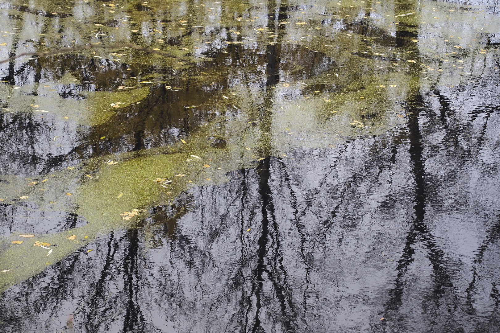 Bisamberg Spiegelung 2jpg