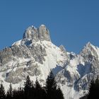 Bischofsmütze im Neuschnee