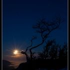 Biscornu sous les feux de la lune