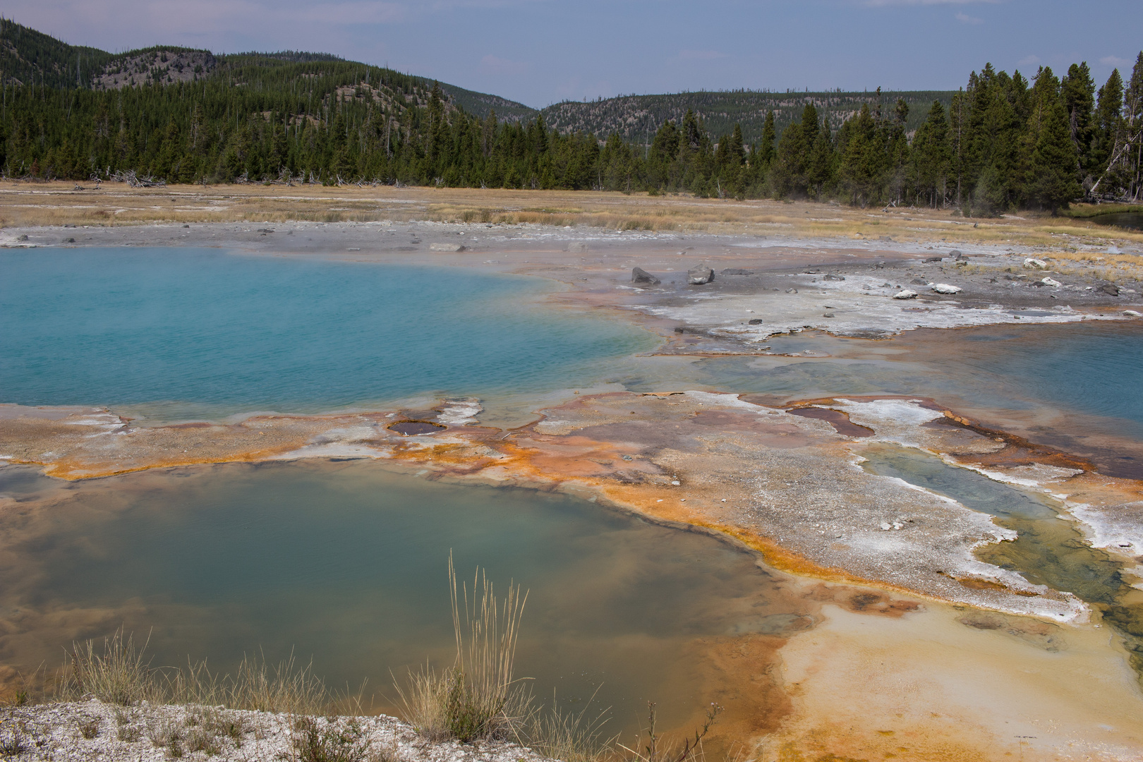 Biscuit Basin Foto & Bild | north america, united states, national
