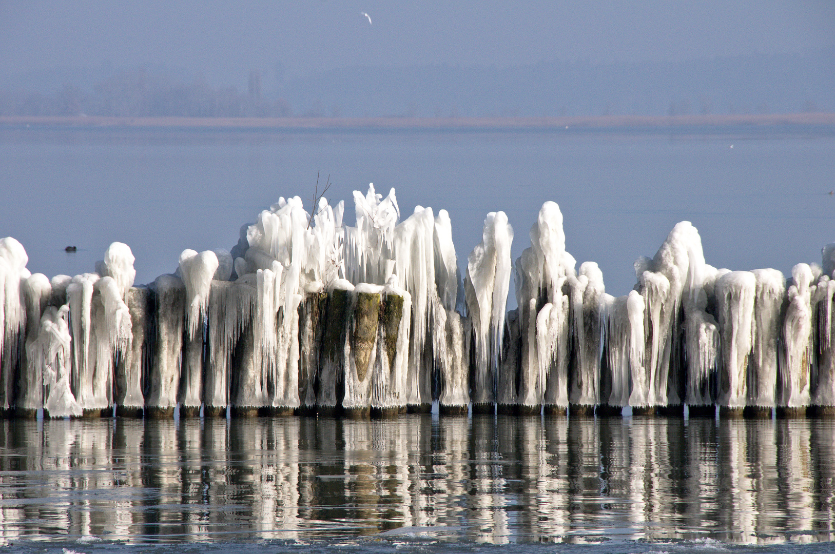 Bise + Frost = Eiskunst