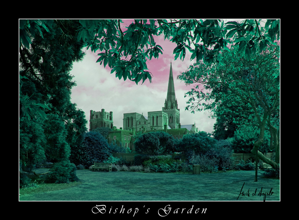 Bishop's Garden - Dream Of Life Version