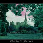 Bishop's Garden - Dream Of Life Version