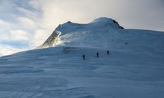 Bishorn (4)