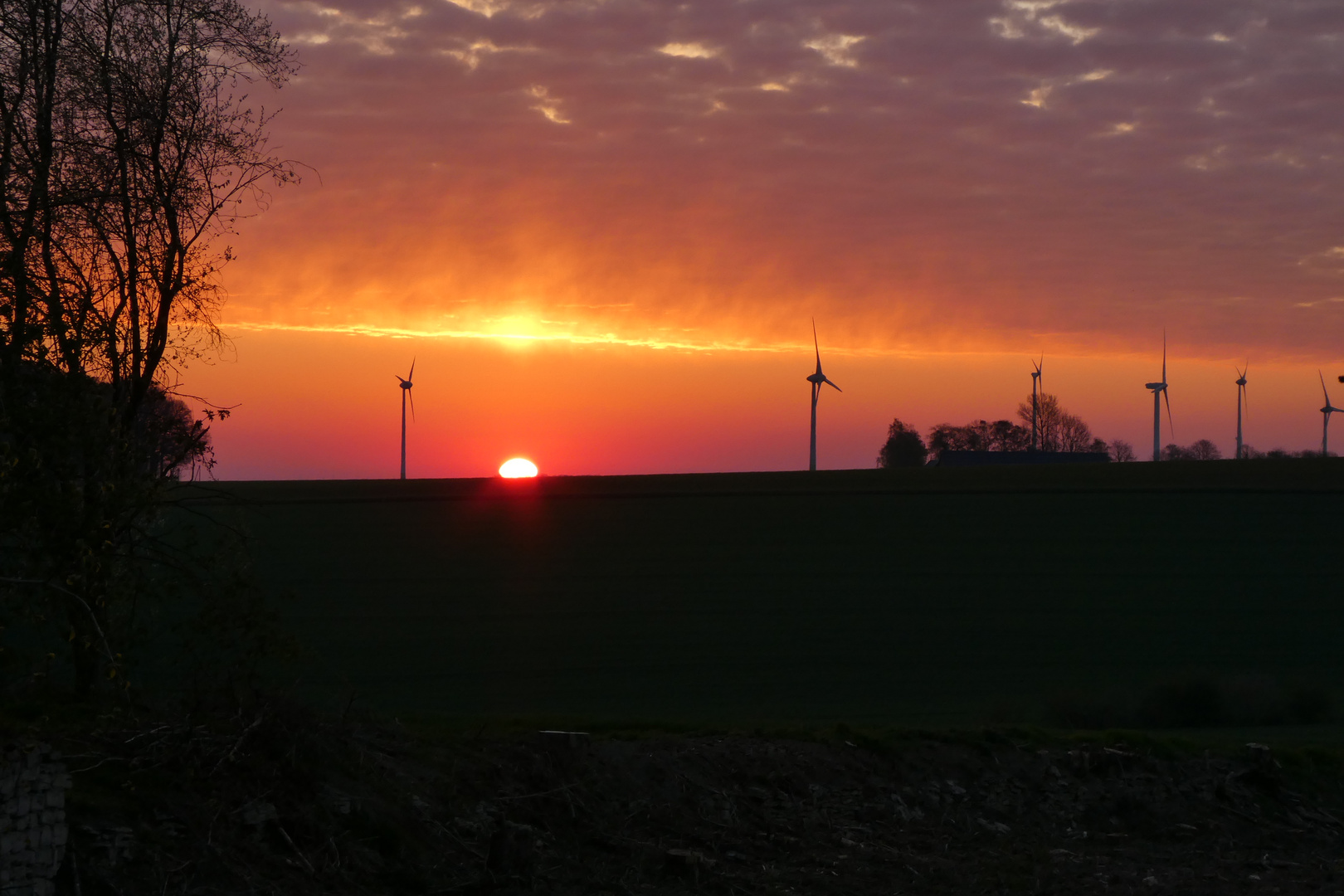 Bislang hat jeden Tag noch der Sonnenaufgang geklappt!