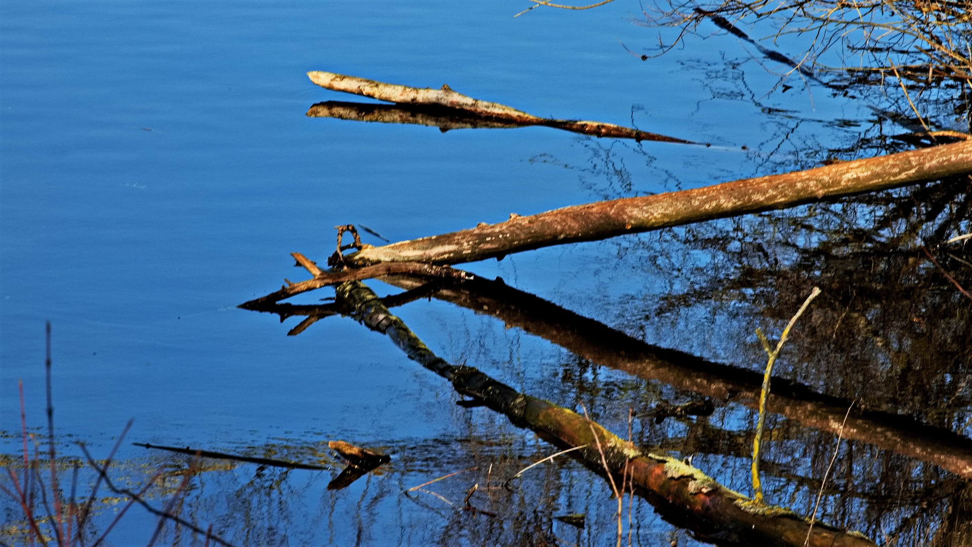 Bislicher Insel