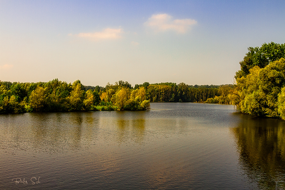 Bislicher Insel