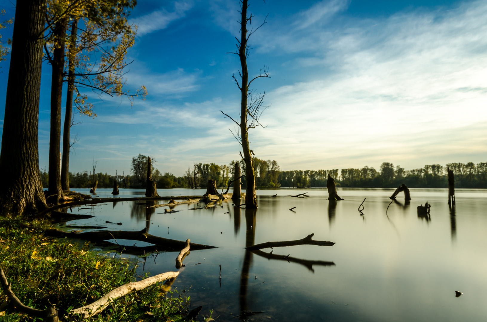 Bislicher Insel