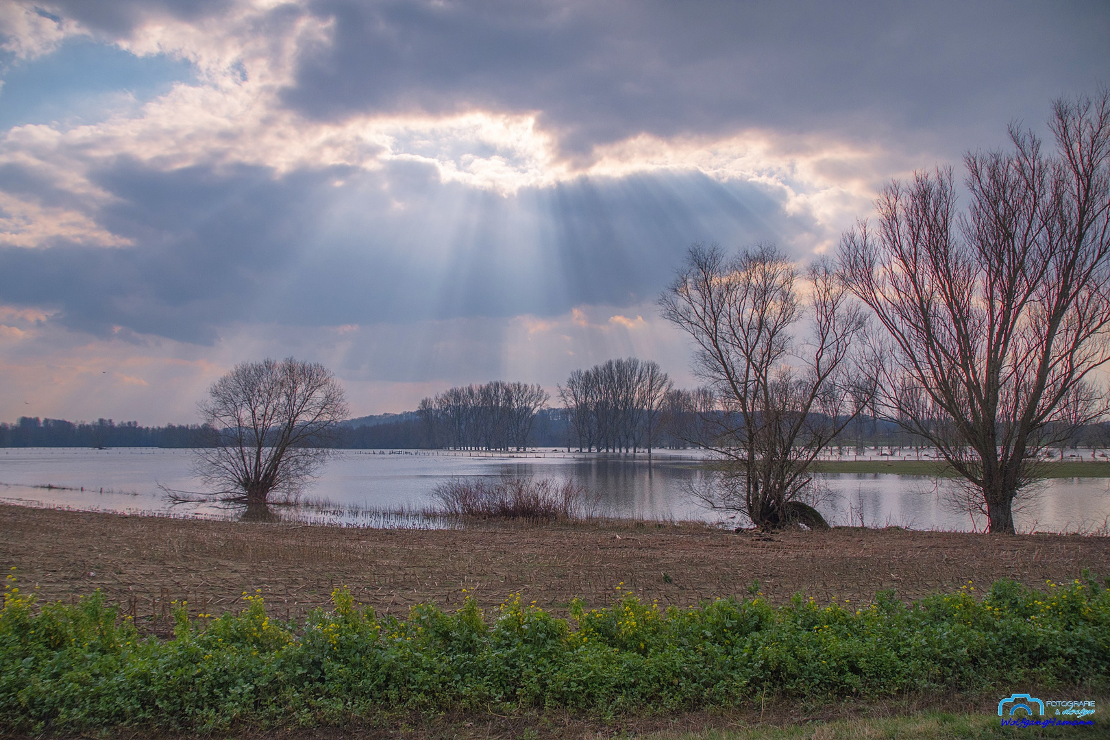 Bislicher Insel