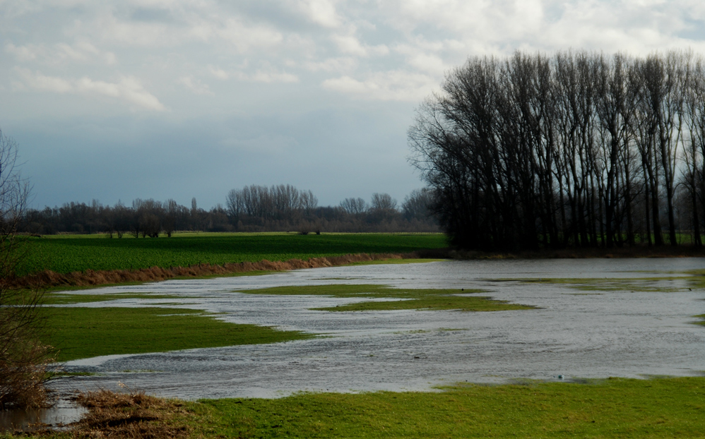 Bislicher Insel...