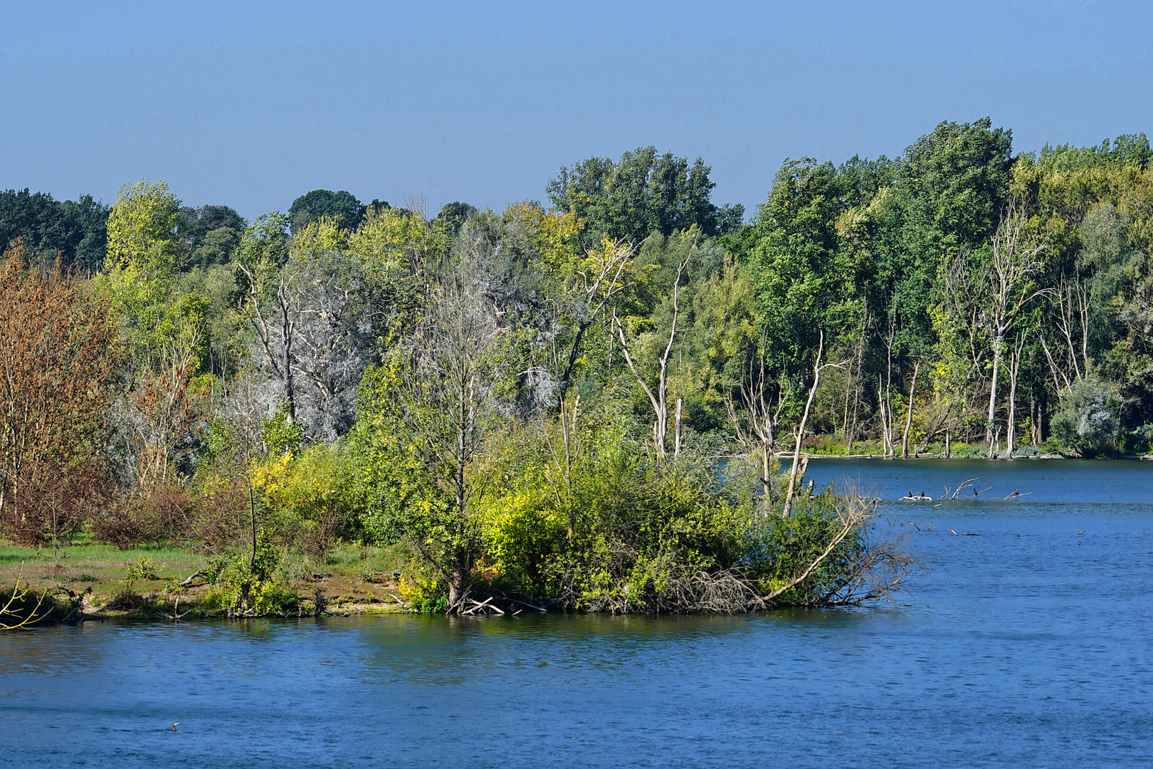 Bislicher Insel