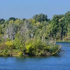 Bislicher Insel